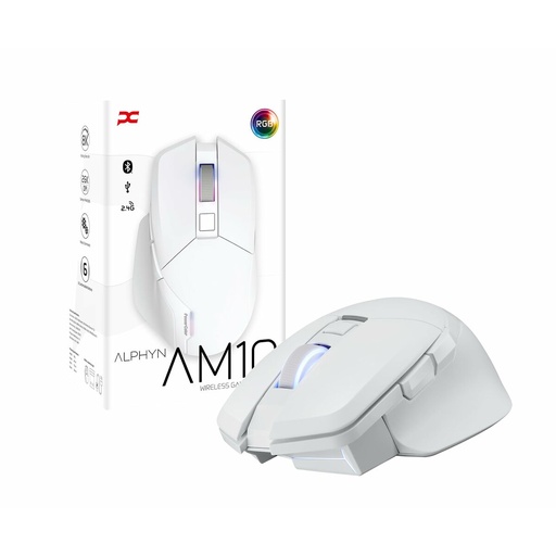 Mouse Powercolor 2U1-G000041001