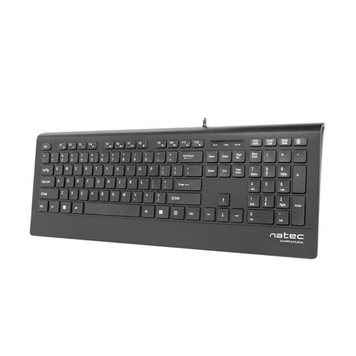 Teclado Natec NKL-0876 Negro